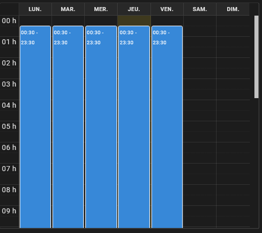 Tableau: chaque colonne représente un jour de la semaine et des plages horaires sont sélectionnées pour chaque jours.